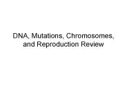 DNA, Mutations, Chromosomes, and Reproduction Review