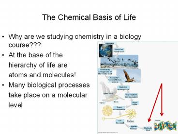 The Chemical Basis of Life