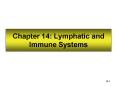 Chapter 14: Lymphatic and Immune Systems PowerPoint PPT Presentation
