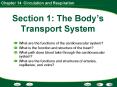 Section 1: The Body PowerPoint PPT Presentation