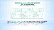 Best Dog shock training collar