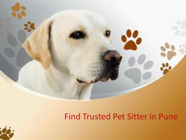 Find trusted pet sitter in Pune
