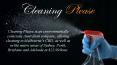 Professional Cleaning Services in Melbourne PowerPoint PPT Presentation