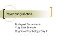 Psycholinguisctics PowerPoint PPT Presentation