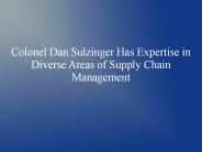 Colonel Dan Sulzinger