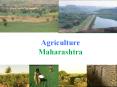 Agriculture  Maharashtra PowerPoint PPT Presentation