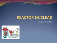 REACTOR NUCLEAR