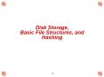 Disk Storage, Basic File Structures, and Hashing PowerPoint PPT Presentation