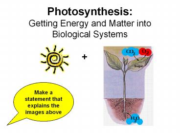 Photosynthesis: Getting Energy and Matter into Biological Systems