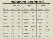Trace Mineral Requirements