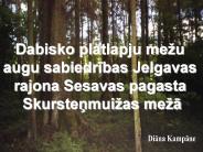 Dabisko%20platlapju%20me