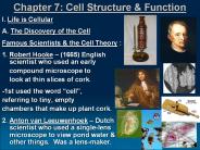 Chapter 7: Cell Structure