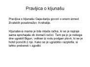Pravljica o kljuna