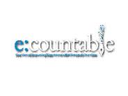 Outsourced Accounting, Bookkeeping CFO Services: Ecountable