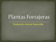 Plantas Forrajeras PowerPoint PPT Presentation