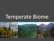 Temperate Biome