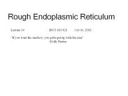 Rough%20Endoplasmic%20Reticulum