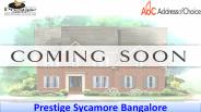 Prestige Sycamore Call @ 9066021610