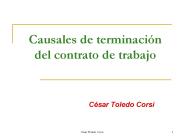 Causales de terminaci