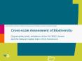 Cross-scale Assessment of Biodiversity; Opportunities and Limitations of the GLOBIO3 model and the Natural Capital Index (NCI) framework PowerPoint PPT Presentation
