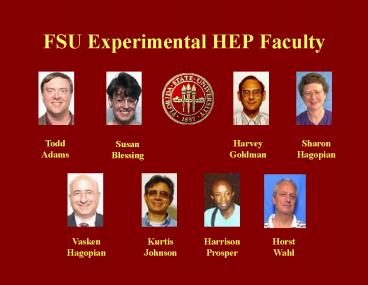 FSU Experimental HEP Faculty