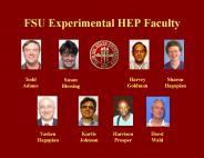 FSU Experimental HEP Faculty