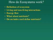 How do Ecosystems work?