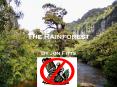The Rainforest PowerPoint PPT Presentation