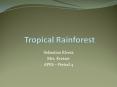 Tropical Rainforest PowerPoint PPT Presentation