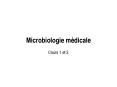 Microbiologie m PowerPoint PPT Presentation