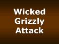 Wicked%20Grizzly%20Attack PowerPoint PPT Presentation