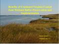 Benefits of Continued Virginia Coastal Zone Wetland Buffer Preservation and Implementation PowerPoint PPT Presentation