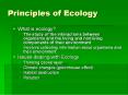 Principles of Ecology PowerPoint PPT Presentation