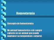 Homeotermia