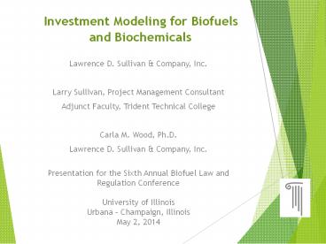 Investment Modeling for Biofuels and Biochemicals
