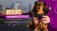 PetLife Pharmaceuticals Inc PowerPoint PPT Presentation