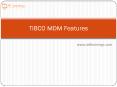 TIBCO MDM Features PowerPoint PPT Presentation