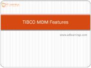 TIBCO MDM Features