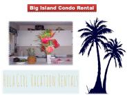 Big Island Condo Rental