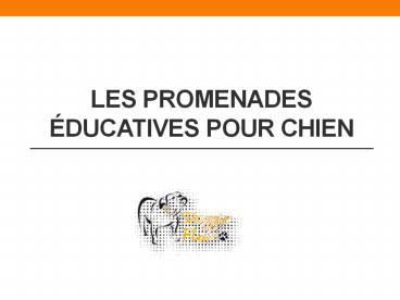 Les promenades éducatives pour chien