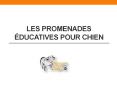 Les promenades éducatives pour chien PowerPoint PPT Presentation