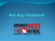 Bed Bugs Treatment