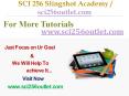 SCI 256  Slingshot Academy / sci256outlet.com PowerPoint PPT Presentation