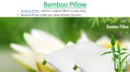 Back Support Pillow