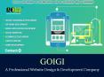 GOIGI - Website Design and Development Portfolio PowerPoint PPT Presentation