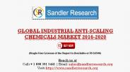 Growth of Industrial Anti-scaling Chemicals Market 2016-2020