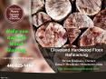 Hardwood flooring Cleveland PowerPoint PPT Presentation