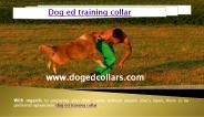 Dog ed training collar for your dog