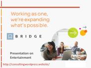 Entertainment Website consultingwordpress.website