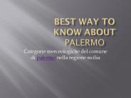 Best Way to Know About Palermo